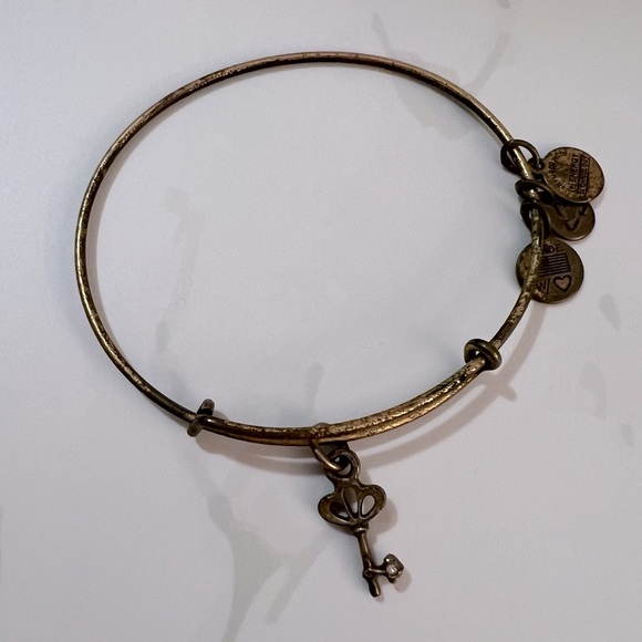 Alex and Ani Charm Bracelets - Picture 2 of 6